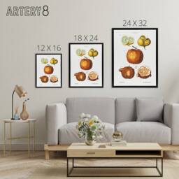 "Artery8 Citrus Fruit Illustration Redoute Vintage Black Framed Canvas Wall Art in White - Size: W12"" x H16""" - thumbnail 4
