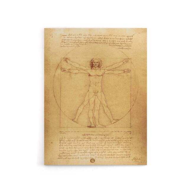 "Artery8 Vitruvian Man Drawing da Vinci Vintage Canvas Wall Art in Brown - Size: W18"" x H24""" - image 1