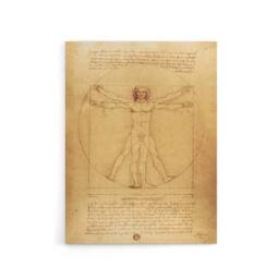 "Artery8 Vitruvian Man Drawing da Vinci Vintage Canvas Wall Art in Brown - Size: W18"" x H24""" - thumbnail 1