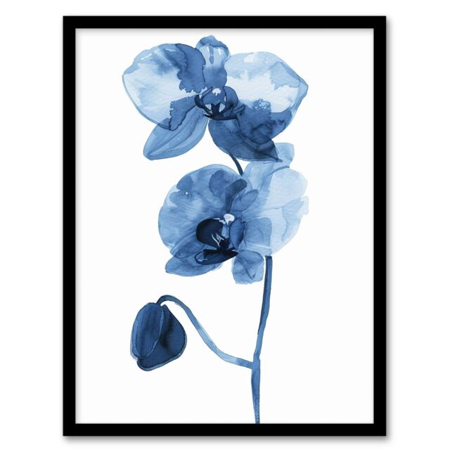 Artery8 Blue Orchid Flower Bloom Watercolour Painting Framed Art Print - Size: A4 - image 1
