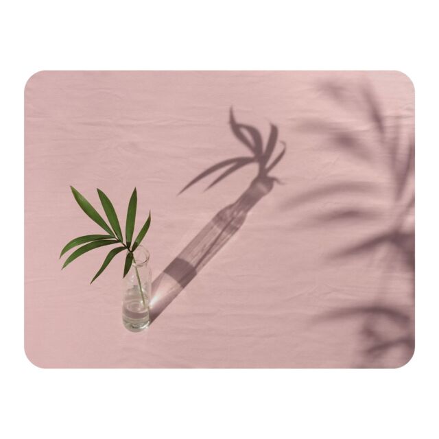 Benjamin Tate Design Botanical leaf on pink Designer Blanket in Natural - Size: 120 cm x 150 cm - image 1