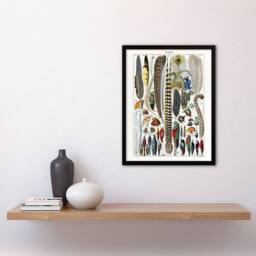 Artery8 Plumes Exotic Bird Feathers Millot Vintage Framed Wall Art Print in White - Size: A4 - thumbnail 4