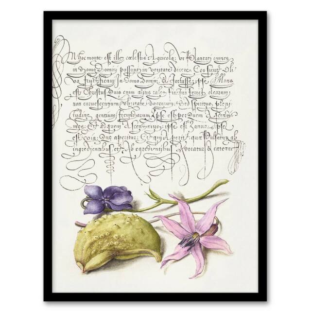 Artery8 Violet Blooms & Gourd Calligraphy Framed Wall Art Print in White - Size: A4 - image 1