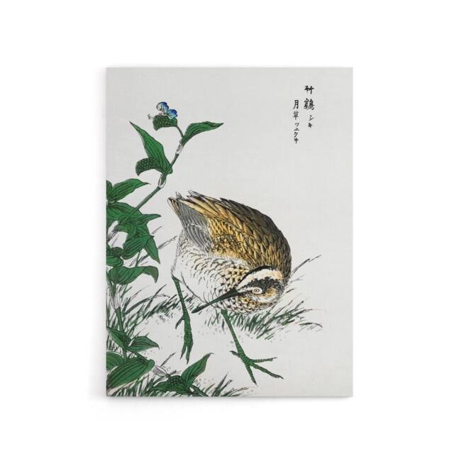 "Artery8 Greenshank & Bupleurum Japanese Canvas Wall Art Print Kashu - Size: W18"" x H24""" - image 1