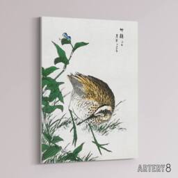"Artery8 Greenshank & Bupleurum Japanese Canvas Wall Art Print Kashu - Size: W18"" x H24""" - thumbnail 2