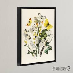 "Artery8 Caterpillars & Butterflies Kirby Black Framed Canvas Wall Art in White - Size: W12"" x H16""" - thumbnail 2