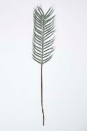 Homescapes Glitter Palm Leaf Single Stem in Green - thumbnail 4