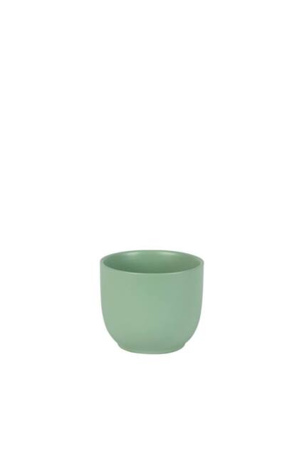 KDMD Matt Sage Hortus Cairo Pot 12x10cm 4 Pack in Light Green - Size: 12x10 cm - image 1