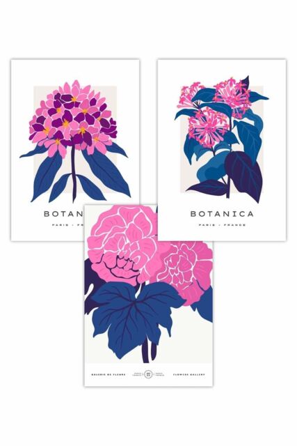 ARTZE Set of 3 Pink & Navy Blue Flower Market Posies Art Posters - Size: W50 cm x H70 cm - image 1