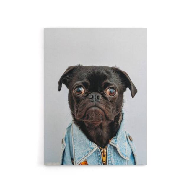 "Artery8 Deluvio Pug Puppy Dog In Jacket Canvas Wall Art Print in Light Grey - Size: W18"" x H24""" - image 1