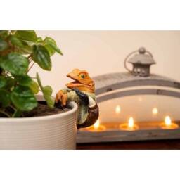 Jardinopia Full Colour Mr Toad In His Suit in Orange - thumbnail 3