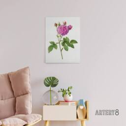 "Artery8 Agatha Rose Floral Redoute Vintage Canvas Wall Art in White - Size: W18"" x H24""" - thumbnail 3