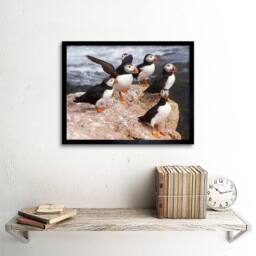 "Artery8 Animal North Atlantic Puffins Photo Home Decor 12x16"" Framed Art Print - Size: W12"" x H16""" - thumbnail 2
