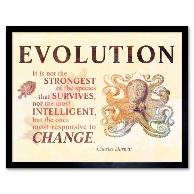 "Artery8 Wall Art Print Evolution Charles Darwin Responsive to Change Quote Not the Strongest that Survives Typography Art Framed - Size: W12"" x H16""" - image 1