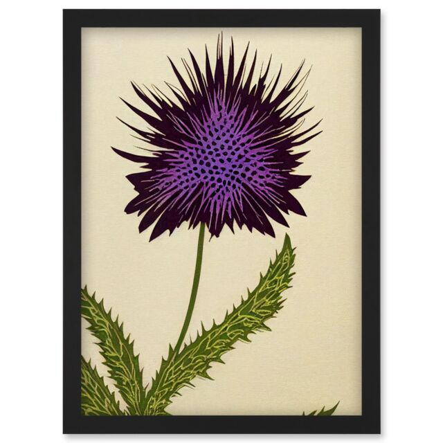 Artery8 Stylized Modern Purple Scottish Thistle Flower Illustration Artwork Framed Wall Art Print A4 in Black - image 1