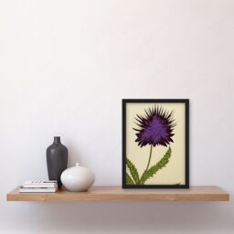 Artery8 Stylized Modern Purple Scottish Thistle Flower Illustration Artwork Framed Wall Art Print A4 in Black - thumbnail 2