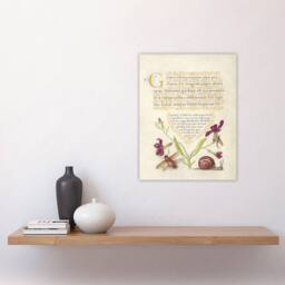 "Artery8 Gillyflower Fly Mayfly & Snail Calligraphy Wall Art Poster Print in Beige - Size: W12"" x H16""" - thumbnail 4