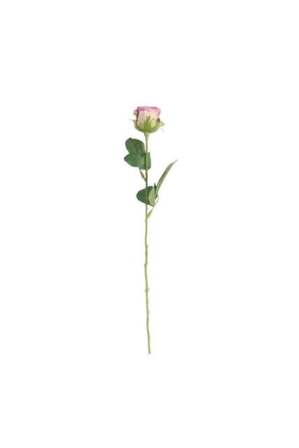 KDMD Buckingham Rose Lavender 10 Pack - image 1