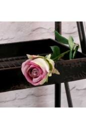 KDMD Buckingham Rose Lavender 10 Pack - thumbnail 4