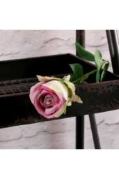 KDMD Buckingham Rose Lavender 10 Pack - thumbnail 6