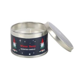 Something Different Gnome Sweet Gnome Candle Set (Pack Of 12) in White - thumbnail 3