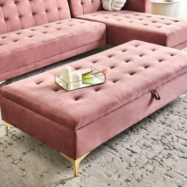 Wyld and Coco Velvet Pink Tufted Storage Ottoman with Gold Legs - image 1