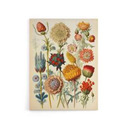 "Artery8 Ernst Haeckel Inspired Vintage Floral Canvas Wall Art Print - Size: W18"" x H24""" - thumbnail 1
