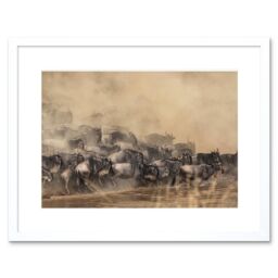 "Artery8 Wall Art Print Wildebeest Antelope Herd Dust Framed in White - Size: W7"" x H9""" - thumbnail 1