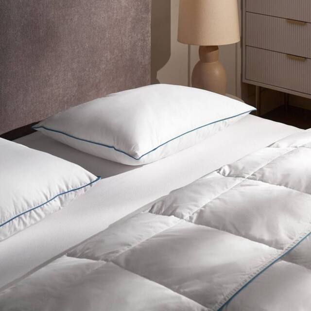 Wyld and Coco Duck Feather and Down Pillow Premium Cotton Casing Medium Support in White - image 1