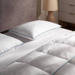 Wyld and Coco Duck Feather and Down Pillow Premium Cotton Casing Medium Support in White