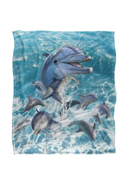 JQ Licensing Jlo Dolphins Jumping Silky Touch Super Soft Throw Blanket 152 X 127 cm in White - image 1