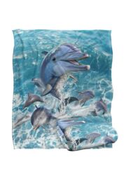 JQ Licensing Jlo Dolphins Jumping Silky Touch Super Soft Throw Blanket 152 X 127 cm in White - thumbnail 2