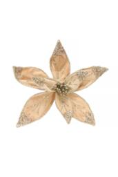 KDMD Champagne Velvet Poinsettia Organza with Clip Dia20cm in Gold
