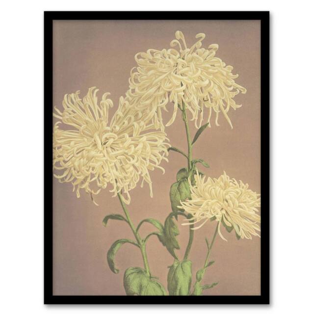 Artery8 Three Yellow Chrysanthemum Vintage Japan Framed Wall Art Print Kazumasa - Size: A4 - image 1