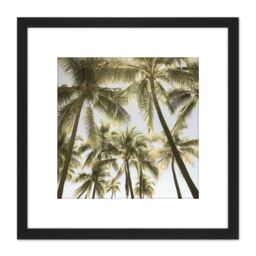 Artery8 Perrington Tropical Palm Trees Photo 8X8 Inch Square Wooden Framed Wall Art Print Picture with Mount in Black - thumbnail 1
