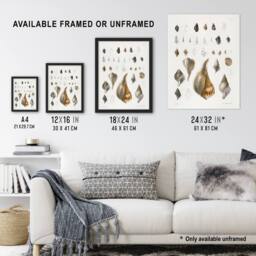 "Artery8 James De Kay Different Types of Sea Shells Wall Art Print in White - Size: W12"" x H16""" - thumbnail 3