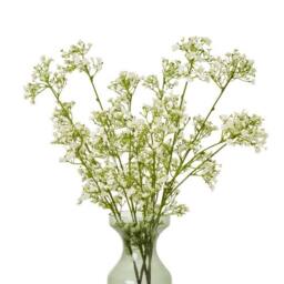Lemon Pavilion Furniture and Decor Gypsophila Spray (Single Stem Flower) - Plastic - Height 106cm - Cream - thumbnail 3
