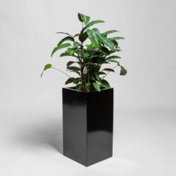 Primrose Metallic Grey Polystone Tall Square Cubic Patio Planter 60cm in Black - thumbnail 3