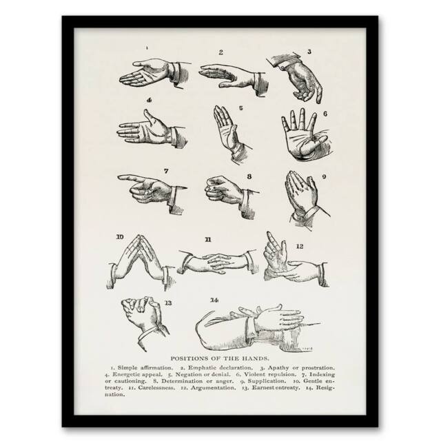 Artery8 Joseph Gibbons Richardson Framed Wall Art Positions of Hand Gestures in White - Size: A4 - image 1