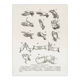 Artery8 Joseph Gibbons Richardson Framed Wall Art Positions of Hand Gestures in White - Size: A4 - thumbnail 3