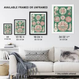 Artery8 Green Pink Vintage Jellyfish Haeckel Botanical Framed Wall Art Print - Size: A4 - thumbnail 3