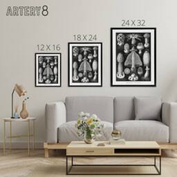 "Artery8 Basidiomycetes Fungi Species Haeckel Black Framed Canvas Wall Art - Size: W12"" x H16""" - thumbnail 4