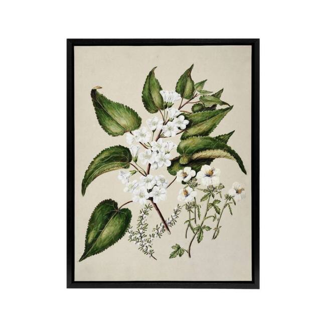 "Artery8 Hibiscus & Saltmarsh Ribbonwood Flowers Featon Framed Canvas Art in Beige - Size: W18"" x H24""" - image 1