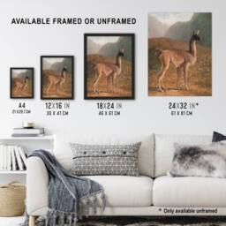 "Artery8 Guanaco Llama in Mountain Landscape Agasse Wall Art Poster Print - Size: W12"" x H16""" - thumbnail 3