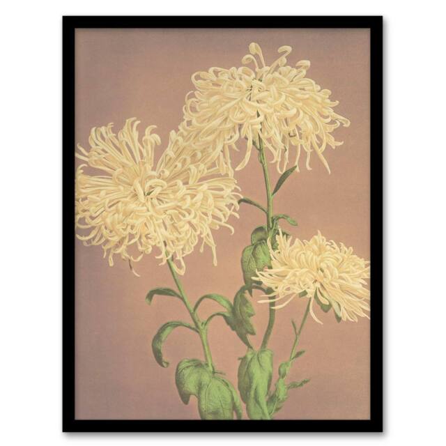 Artery8 Ogawa Kazumasa Framed Wall Art Print Three Yellow Chrysanthemums - Size: A4 - image 1