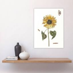 "Artery8 Sunflower Caterpillar & Two Butterflies Teyler Wall Art Poster Print in White - Size: W18"" x H24""" - thumbnail 4
