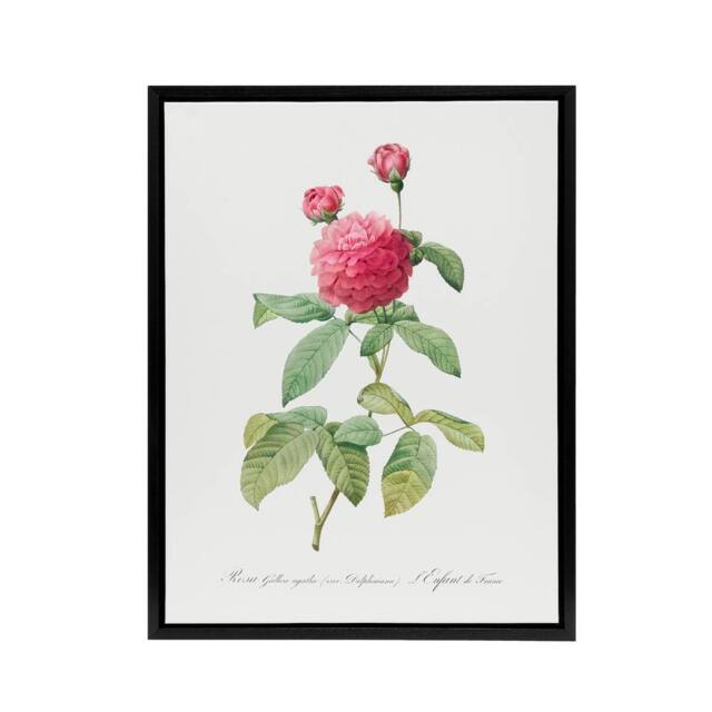 "Artery8 Agatha Rose Botanical Redoute Vintage Black Framed Canvas Wall Art in White - Size: W12"" x H16""" - image 1