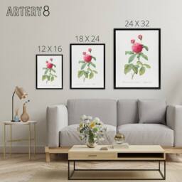 "Artery8 Agatha Rose Botanical Redoute Vintage Black Framed Canvas Wall Art in White - Size: W12"" x H16""" - thumbnail 4