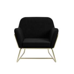 Lemon Pavilion Furniture Charles Armchair - L66 x W75.5 x H76.5 cm - Black/Gold Brushed in Black - Size: 1 Pack