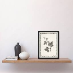 Artery8 Vintage Botanical Ipomoea Triloba Leaves Hibberd Framed Wall Art Print in White - Size: A4 - thumbnail 4